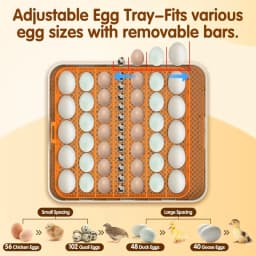 56-Egg Incubator with Automatic Turning, Temp & Humidity Control, LED Candler, Days Display, for Chicken Duck Goose Quail Parrot