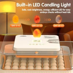 56-Egg Incubator with Automatic Turning, Temp & Humidity Control, LED Candler, Days Display, for Chicken Duck Goose Quail Parrot