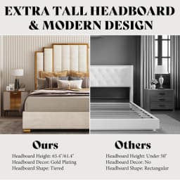 Queen Upholstered Velvet Platform Bed with Gold Trim Headboard No Box Spring Needed Bedroom Furniture, Customized