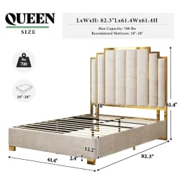 Queen Upholstered Velvet Platform Bed with Gold Trim Headboard No Box Spring Needed Bedroom Furniture, Customized
