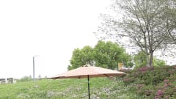JHK 10FT Solar Patio Umbrella with 32 LED Lights UV-Resistant Outdoor Table Umbrella with Tilt and Crank for Backyard Garden