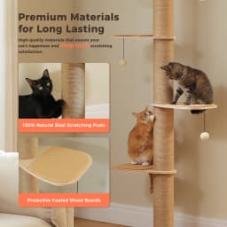 Floor to Ceiling Cat Tree for Indoor Cats Adjustable Height Wooden Cat Tower with Thick Scratching Posts Acrylic Cave Cat Toys