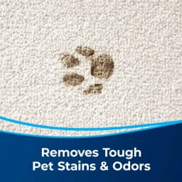 Pet Spotlifter for Upholstery and Carpet, 12 oz., 93521