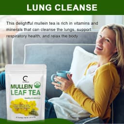 GPGP Greenpeople Herbal Mullein Leaf Drink for Lung Cleansing Unobstructed Breathing Relieve Cough Detoxification Health Care
