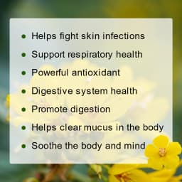 GPGP Greenpeople Herbal Mullein Leaf Drink for Lung Cleansing Unobstructed Breathing Relieve Cough Detoxification Health Care
