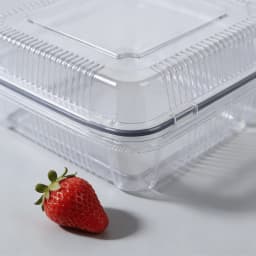 Food Grade Clear Disposable Pastry Boxes 50 - Pack, Airtight Cake & Dessert Storage Containers | Commercial & Home Use