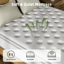 14 Inch Queen Size Hybrid Mattresses in a Box | Medium Firm and Individual Pocket Springs Motion Isolation