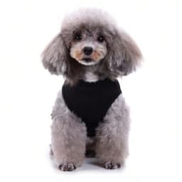 1pcs Lovely pet print vest new cat and dog T-shirt summer breathable clothes