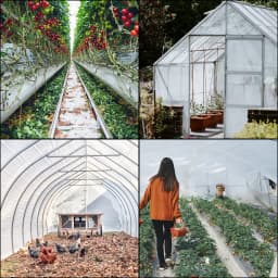 SucceBuy Agricultural Greenhouse Film Clear Plastic Farm Crops Vegetable Cover UV Resistant Polyethylene Covering Plants Flowers