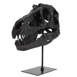 Dinosaur Fossil Figurine Resin Replica Head Sculptures with Bracket Skull Sculptures Home Office Decorations