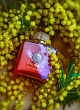 Amouage Guidance 46 Lineage Outlands Reasons 100ml Extrait De Parfum Scent Luxury Niche Fragrance Intense Long Lasting Graduation Anniversary Birthday Gift Unisex Spray Vaporisateur Luxe Aroma Mist Holiday Father Day Mother Day Present Celebration