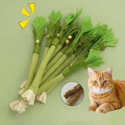Cat Chew Toys Interactive Self High Catnip Molar Stick Bite With Bell Cats Toy Kitten Toy Natural Catnip Cat Teeth Cleaning Toy