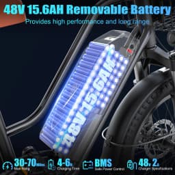 LoonFat T20 Black Adult Ebike 1000W Motor 25 MPH Speed Limiter 48V 15.6Ah Lithium Battery 170 Lbs Max Load Cable Brakes