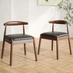 Dining Chairs Set of 2, Mid-Century Modern Kitchen & Dining Room Chairs with Solid Wood Legs, for Home