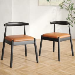 Dining Chairs Set of 2, Mid-Century Modern Kitchen & Dining Room Chairs with Solid Wood Legs, for Home