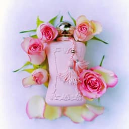 Delina Exclusif Eau De Parfum 75ml 2.5oz Great News Back In Stock Pastel Pink Bottle Design Anniversary Birthday Graduation Gift Idea Year-Round Essential Amber Oriental Floral Women Fragrance Spray Special Event Celebration New Stock Restocked Mist
