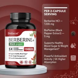 Berberine Supplement 1200mg - Ultra Pure 98% Berberine HCL - Healthy Weight Management, Immune Support - Non GMO