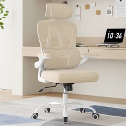 Farini Ergonomic Office Chair, Home Office Desk Chair with Lumbar Support & Headrest, High Back Computer Chair for Work, Study