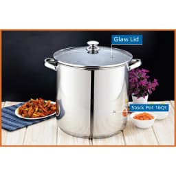 Stainless Steel 16-Quart Stock Pot with Glass Lid