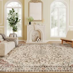 Machine Washable Area Rug, 5x7 Vintage Oriental Medallion Distressed Rugs Soft Printed Floor Mat, Mixed-Brown