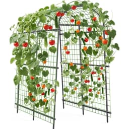7.5FT Extra Tall Garden Arch Trellis, Polyethylene-Coated Stainless Steel Outdoor Plant Support for Climbing Flowers, Vegetables, Cucumbers, Vines | Heavy-Duty Pergola Arbor for Wedding, Party, Garden