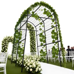 7.5FT Extra Tall Garden Arch Trellis, Polyethylene-Coated Stainless Steel Outdoor Plant Support for Climbing Flowers, Vegetables, Cucumbers, Vines | Heavy-Duty Pergola Arbor for Wedding, Party, Garden