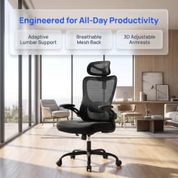 Ergonomic Office Chair: Office Desk Chair with High Back Mesh and Adjustable Lumbar Support Rolling Work Swivel Task Chairs with Wheel 3D Armrests and Headrest