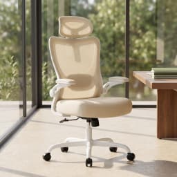 Ergonomic Office Chair: Office Desk Chair with High Back Mesh and Adjustable Lumbar Support Rolling Work Swivel Task Chairs with Wheel 3D Armrests and Headrest