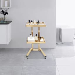 Salon Trolley, Beauty Cart, Rolling Hairdressing Trolley, Stainless Steel Gold Finish, Anti-Rust Multi-Layer Storage Organizer, 4 Wheels, Easy Move, Noise Reduction Tray, Leather Back, Salon Spa Tool Holder for Barber Beauty Shop