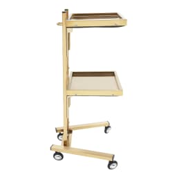 Salon Trolley, Beauty Cart, Rolling Hairdressing Trolley, Stainless Steel Gold Finish, Anti-Rust Multi-Layer Storage Organizer, 4 Wheels, Easy Move, Noise Reduction Tray, Leather Back, Salon Spa Tool Holder for Barber Beauty Shop