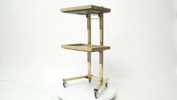 Salon Trolley, Beauty Cart, Rolling Hairdressing Trolley, Stainless Steel Gold Finish, Anti-Rust Multi-Layer Storage Organizer, 4 Wheels, Easy Move, Noise Reduction Tray, Leather Back, Salon Spa Tool Holder for Barber Beauty Shop