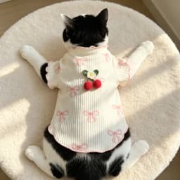 Breathable Lightweight Dog Tshirt Pet Vest Summer Wear Comfortable Elastic Soft for Small Dogs Cats Cute Design Pet Clothing Summer Outfit