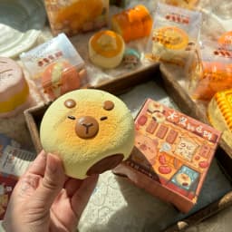 Capybara Bakery Slow Rising Squishy Capybara Toy Bread Pastry Cake Squeeze Stress Relief Soft Rebound Hand Relaxing Gift