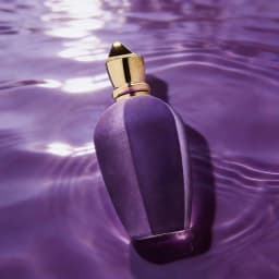 Soprano Opens With Bergamot‑Orange, Blooming Jasmine‑Tuberose Heart, Finished By Vanilla‑Amber. Purple Velvet Bottle Creates Charming Summer‑Night Floral Scent.