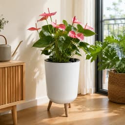 Self‑Watering Raised Planter with Water Level Indicator