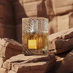 Unisex Long Lasting Coffee Woody Eau De Parfum, Luxury Textured Glass Bottle Perfume Spray, Elegant Gift Box Fragrance for Daily Dating Office Use