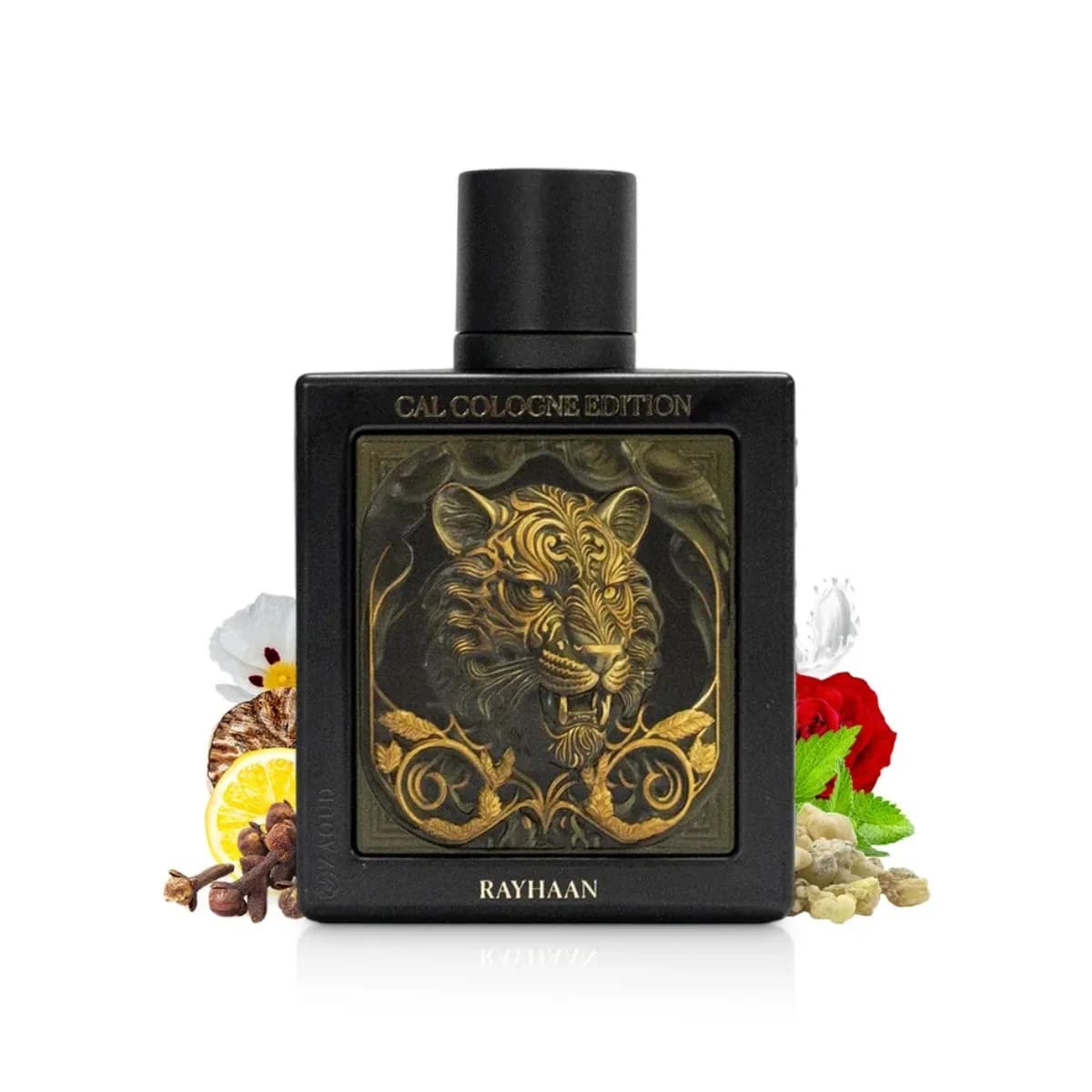 Rayhaan Tiger Cal Cologne Edition Extrait De Parfum For Men Unisex, Woody Spicy Fragrance 100ml 3.4 Ounce Long Lasting Arabian Perfume Spray Gift