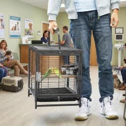 Portable Bird Cage, 19x15x25.5in, Wrought Iron, 2-in-1 Wooden Perch Handle, Removable Deep Tray, For Parakeets, Cockatiels, Budgies & Canaries,Outdoor Activity