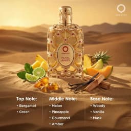 Luxury Collection Royal Amber EDP Spray 80ml Golden Embossed Bottle Unisex Fragrance Fruity Gourmand Amber Musk Perfume for Daily Party Holiday Gift for Him Her