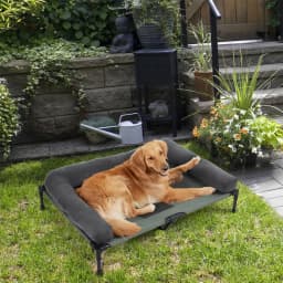 BINGOPAW Outdoor Elevated Dog Bed Cooling Raised Pet Lounger Bed Mesh Cot Sleep Camping Bed with Detachable Plush Bolster