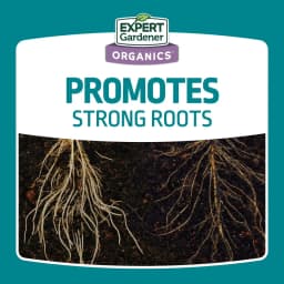 Bone Meal Plant Food Fertilizer 3-15-0 for Plants 4 lb Big Discount Great Offer Cost Effective Budget Choice Hot Discount