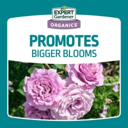 Bone Meal Plant Food Fertilizer 3-15-0 for Plants 4 lb Big Discount Great Offer Cost Effective Budget Choice Hot Discount