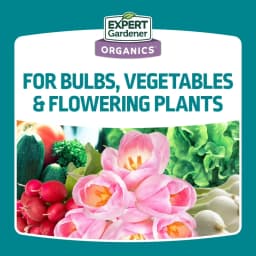 Bone Meal Plant Food Fertilizer 3-15-0 for Plants 4 lb Big Discount Great Offer Cost Effective Budget Choice Hot Discount