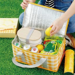 Outdoor portable thickened Insulated handbagstudent spring outing travel camping large capacity checkered picnic bag