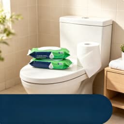 2pk GentlePlus Flushable Wipes, 42ct Total