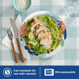 Disposable Paper Plates, 8.5", Multi-Color, 100 Count
