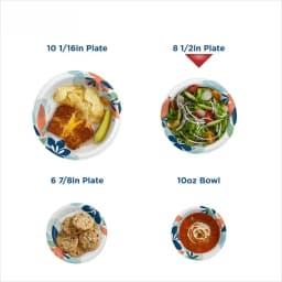Disposable Paper Plates, 8.5", Multi-Color, 100 Count