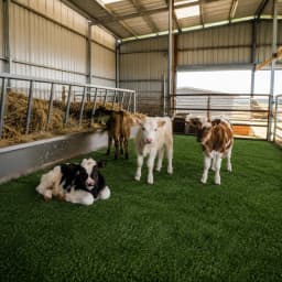 4 ft X 40 ft, 0.4 in Artificial Grass Carpet, Realistic Fake Grass Mat for Patio, Yard, Balcony, Garden, and Pet Area