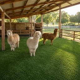 4 ft X 40 ft, 0.4 in Artificial Grass Carpet, Realistic Fake Grass Mat for Patio, Yard, Balcony, Garden, and Pet Area