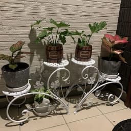 4-Tier Plant Stand Display Shelf Garden Patio Planter Rack Home Decor Flower Stand for Indoor Outdoor
